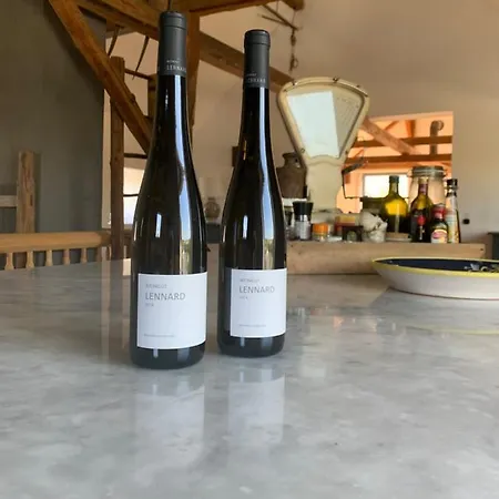 Design With Big Terrace *